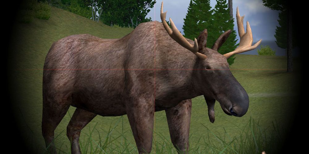 hu2010 moose sight