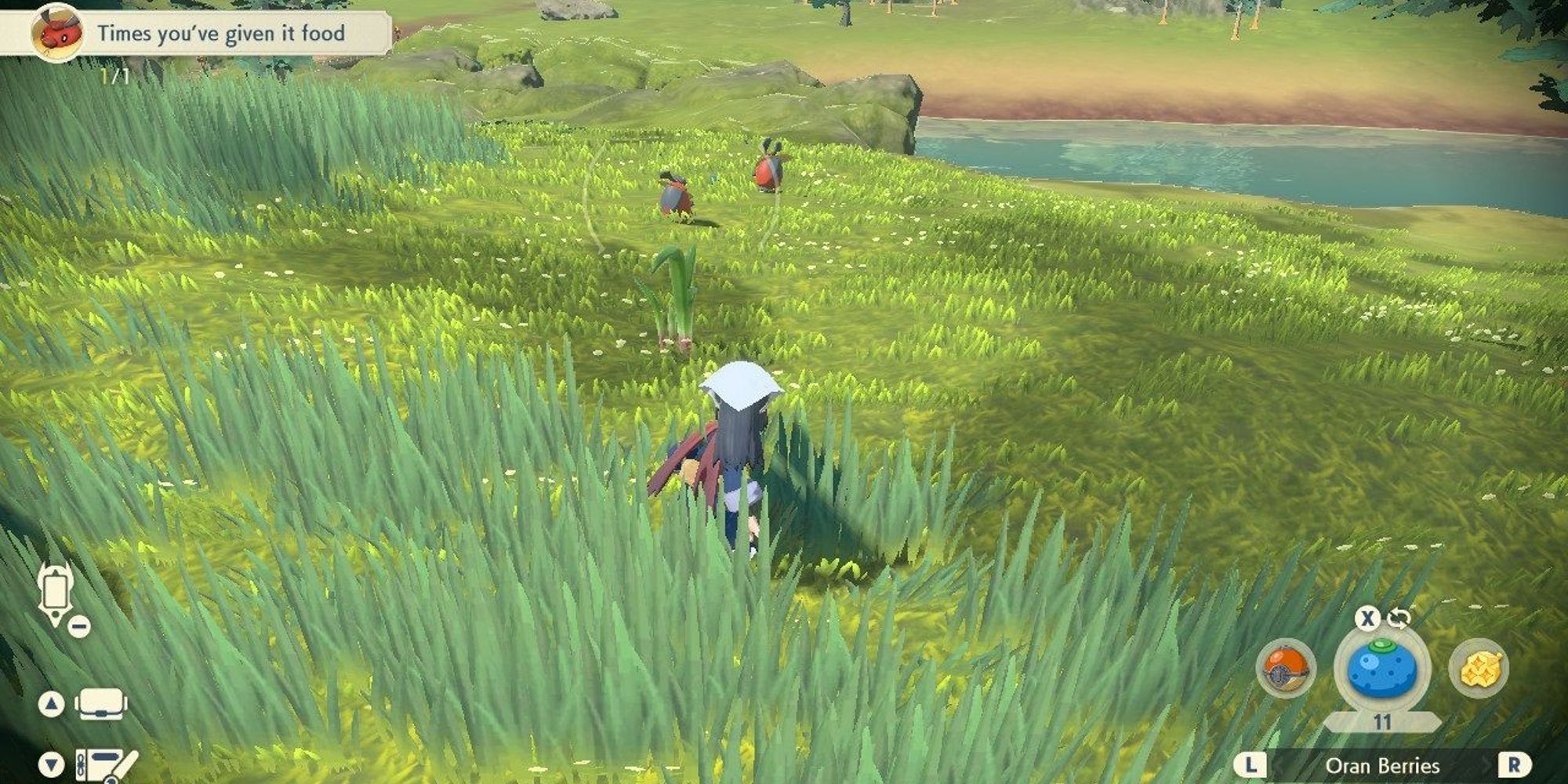 player hiding in grass after throwing an oran berry