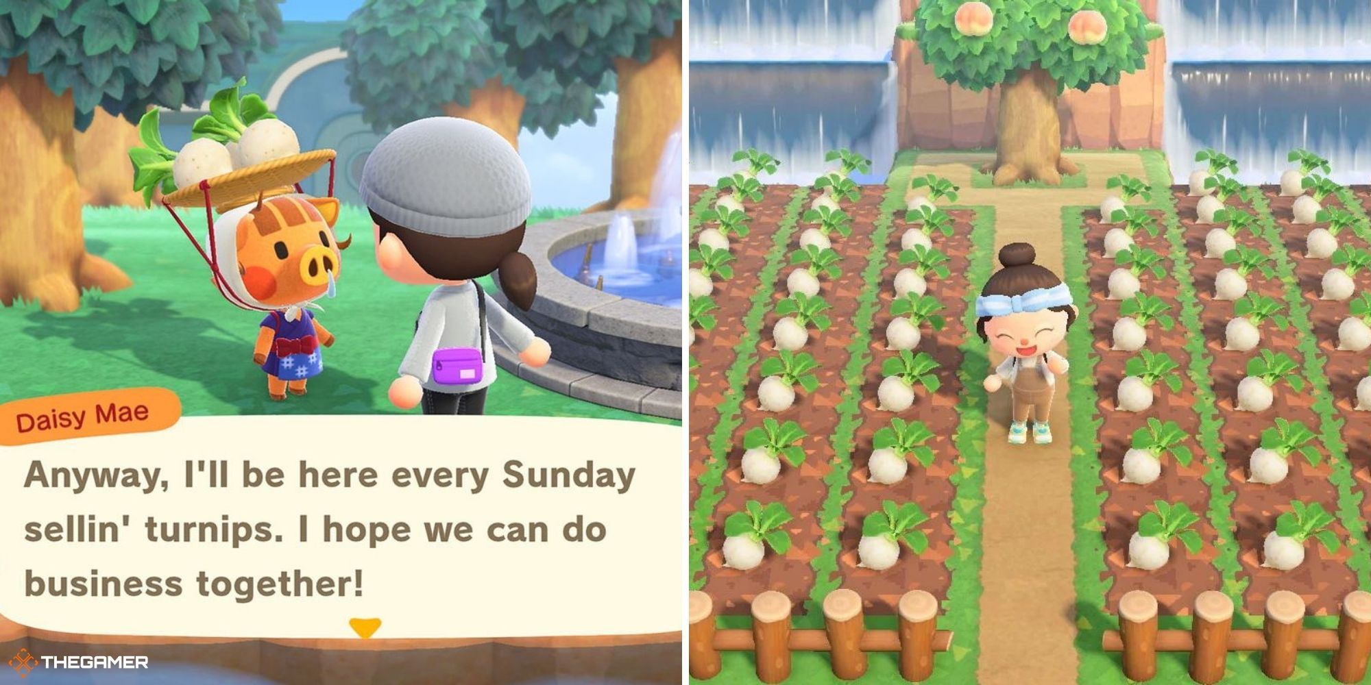 Your Guide To Turnips And The Stalk Market In Animal Crossing: New Horizons