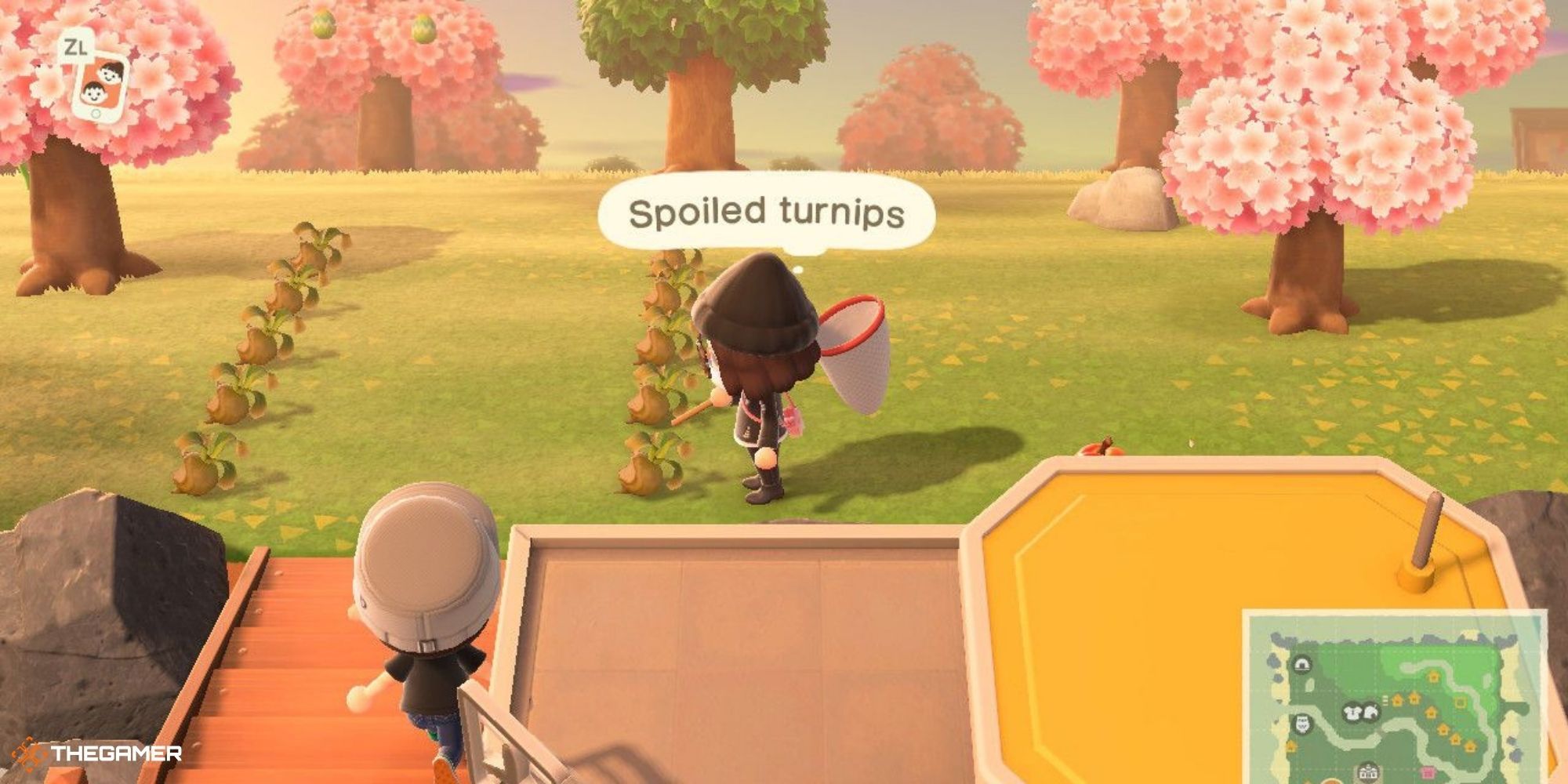 Animal Crossing New Horizons - player observing spoiled turnips