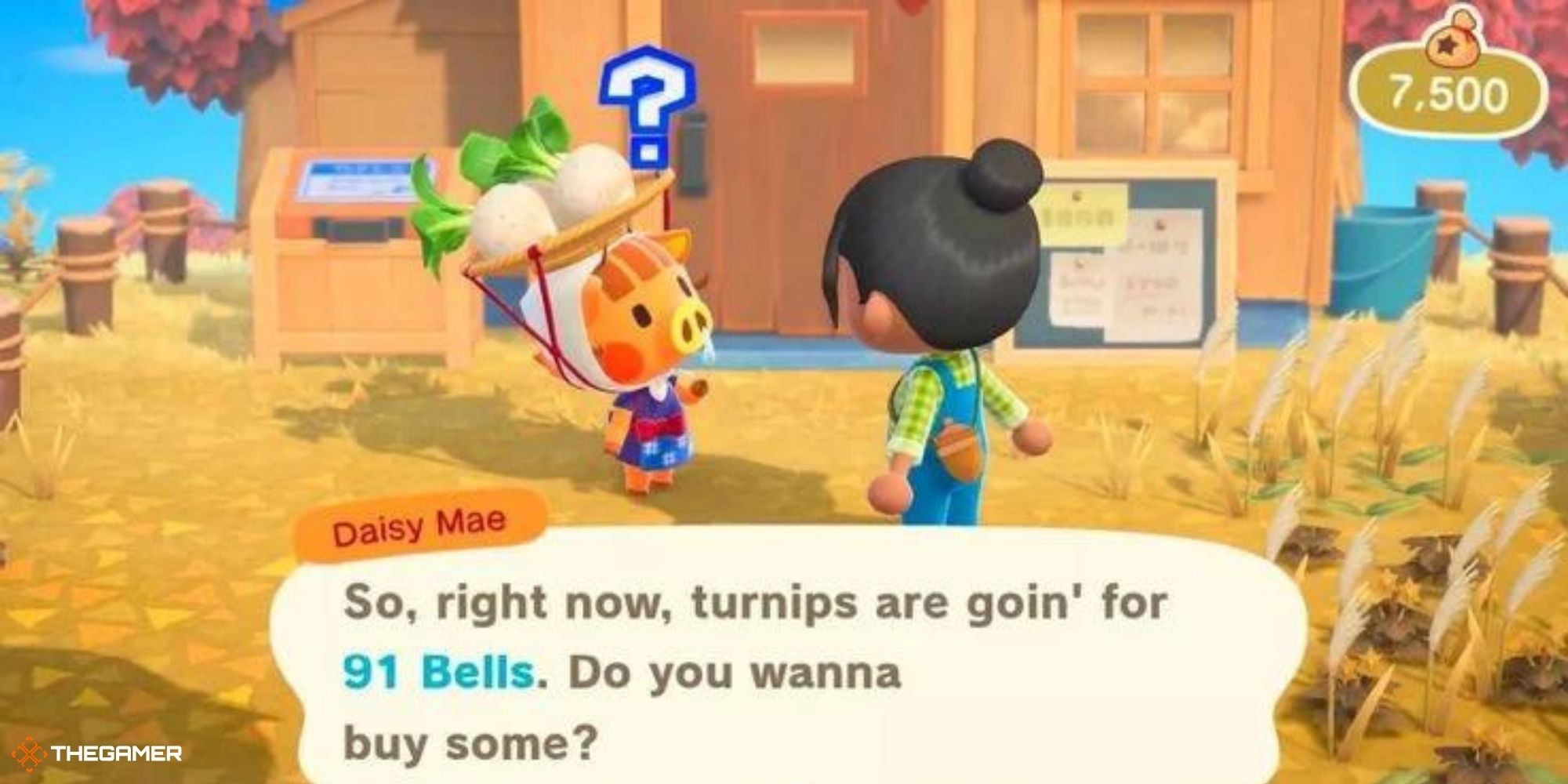 Animal Crossing New Horizons - player talking to Daisy Mae (1)