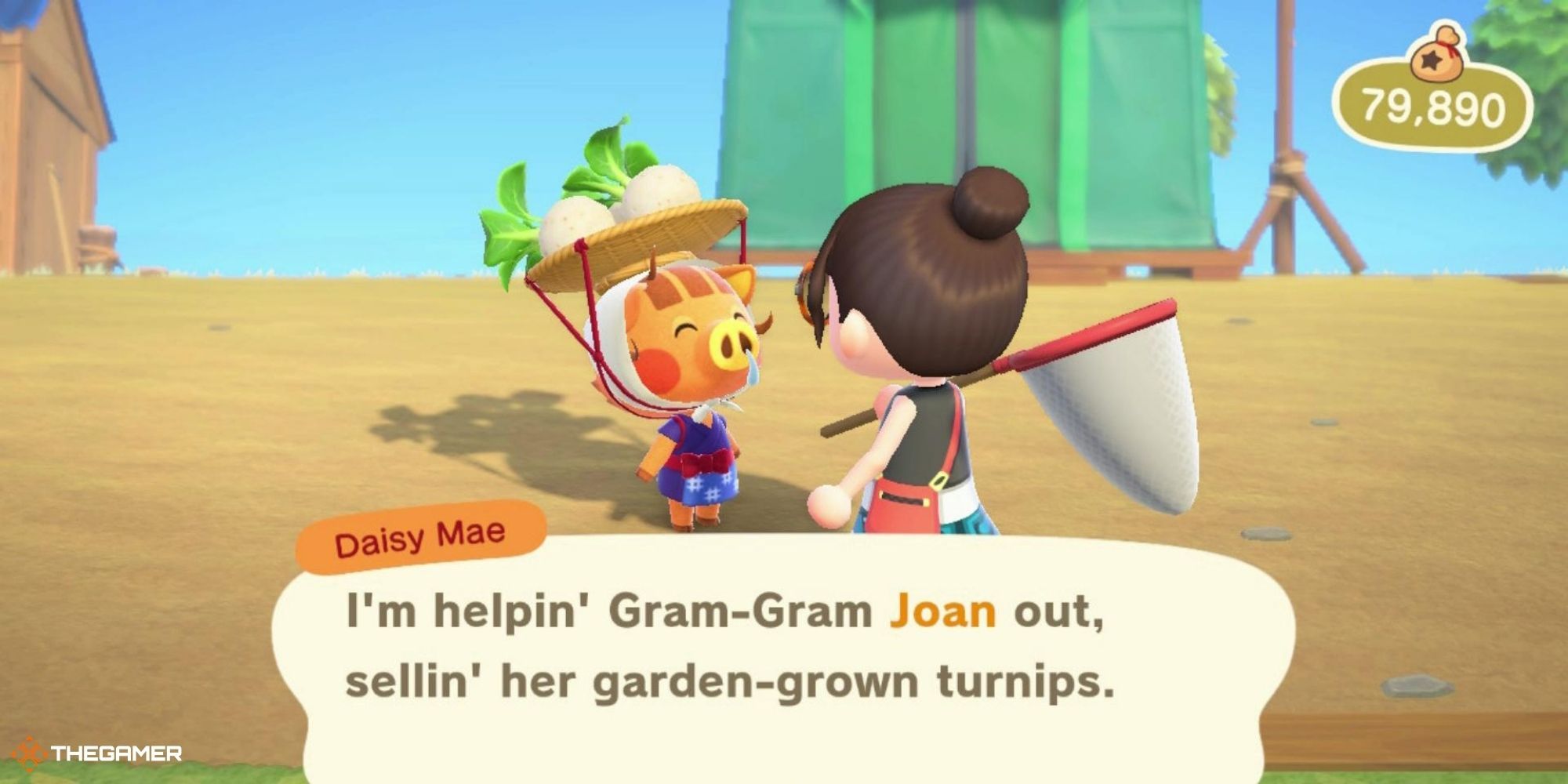 Animal Crossing New Horizons - player talking to Daisy Mae