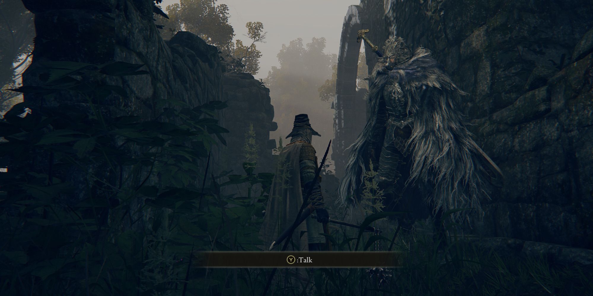 A player talking to Blaidd The Half Wolf in Mistwood Ruins in Elden Ring
