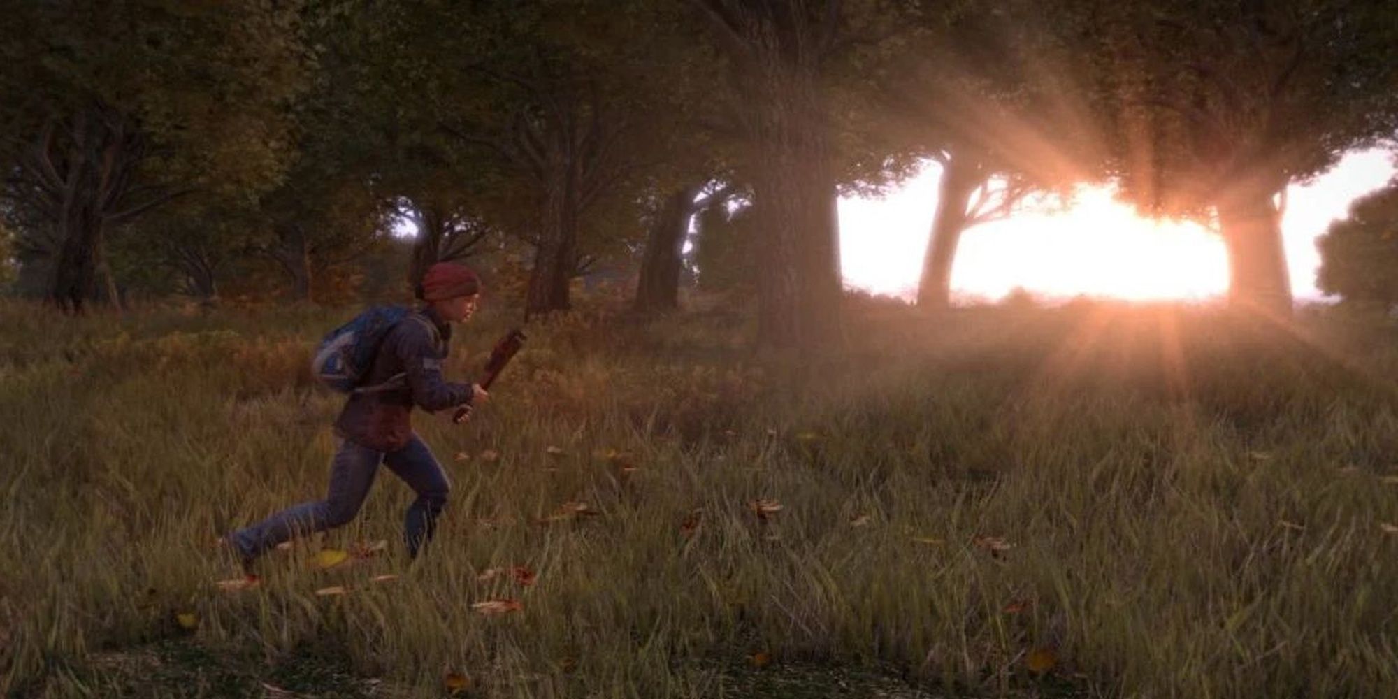 DayZ: Survivor Running Through The Woods As The Sun Sets