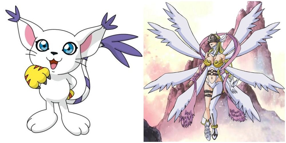 Digimon Gatomon Angewomon