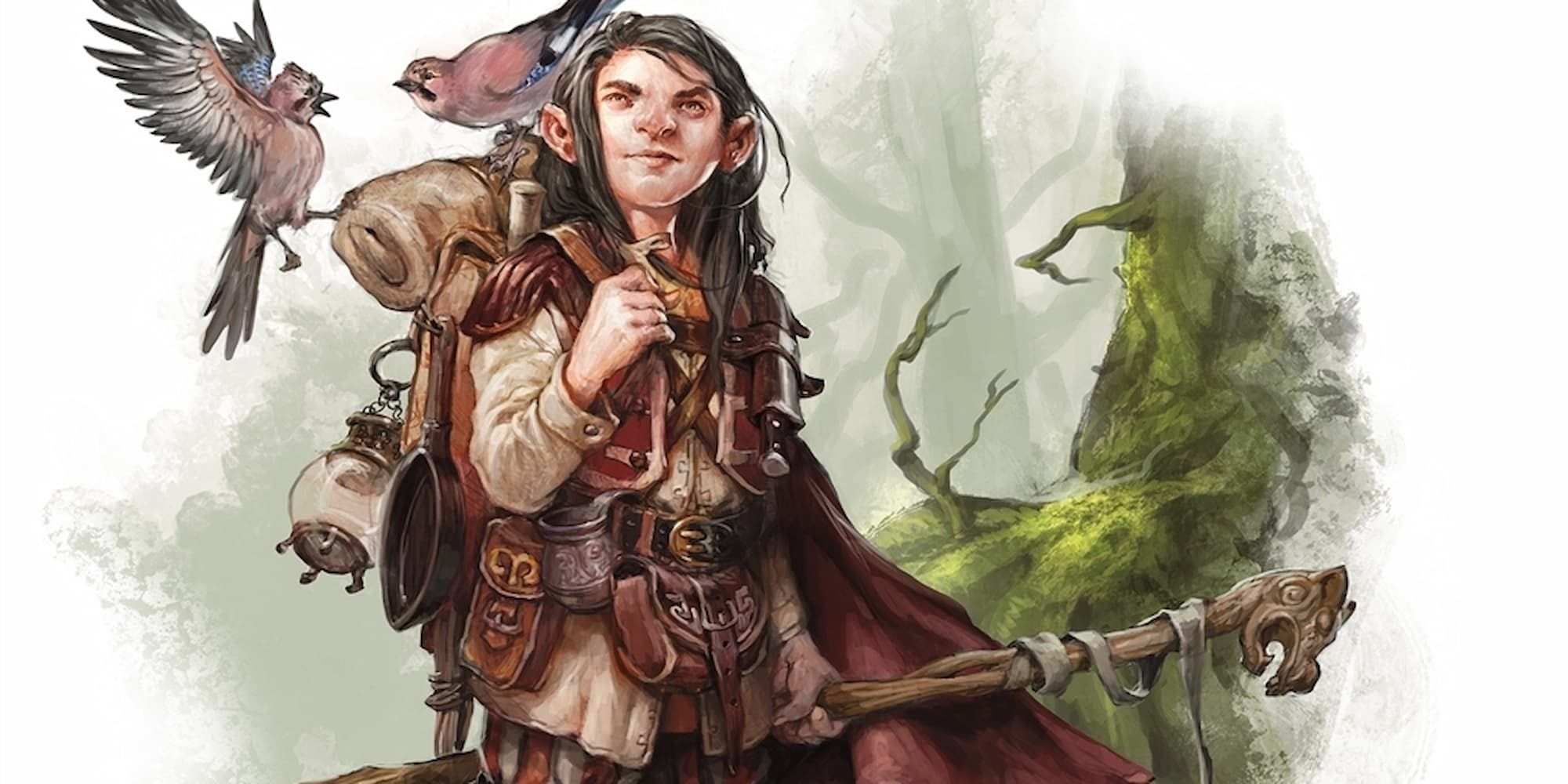 A druid stands accompanied by two birds from Dungeons &amp; Dragons.