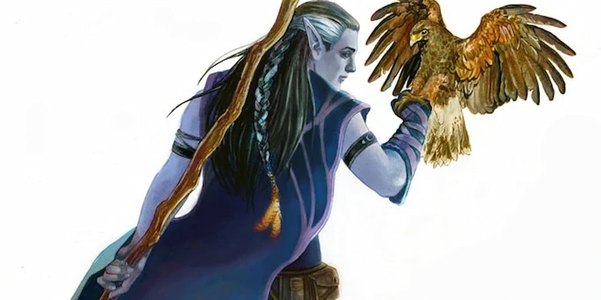 A male elf druid letting a bird of prey land on his right hand