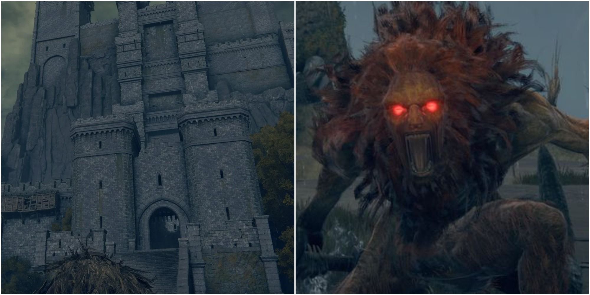 Castle Morne and Leonine Misbegotten boss in Elden Ring