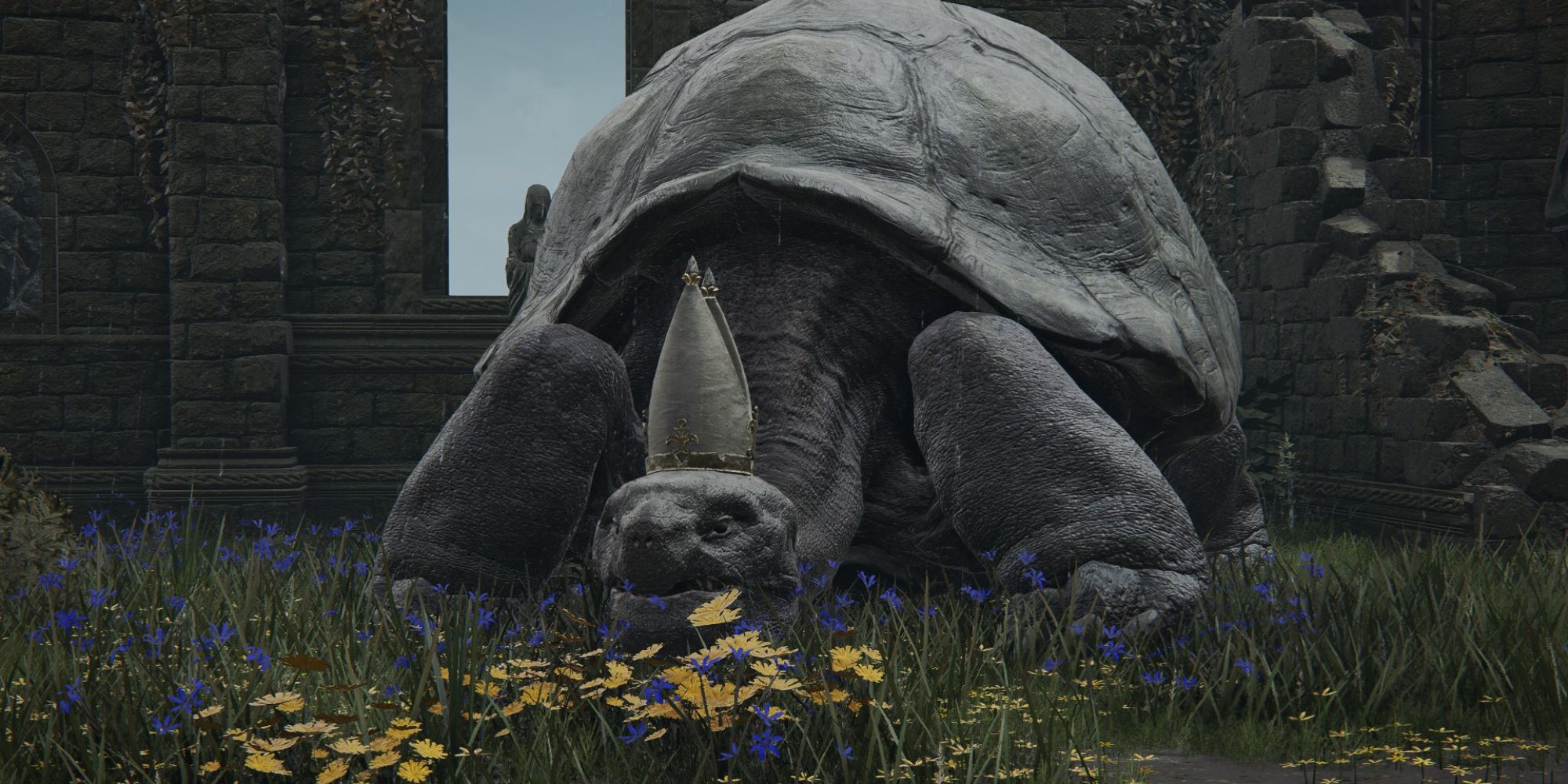 Miriel the Pope Turtle