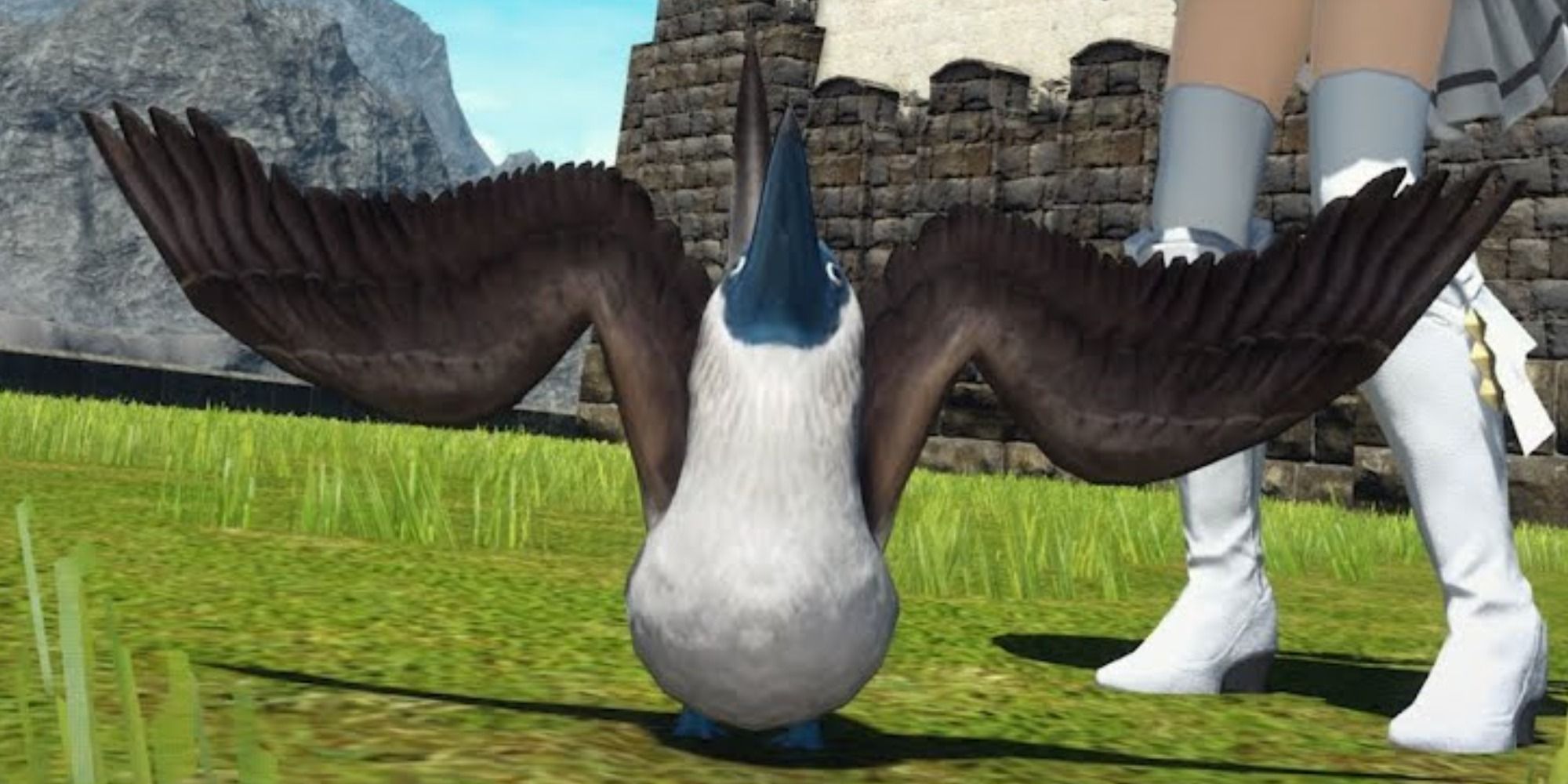 The Blue-Footed Booby Minion in Final Fantasy 14