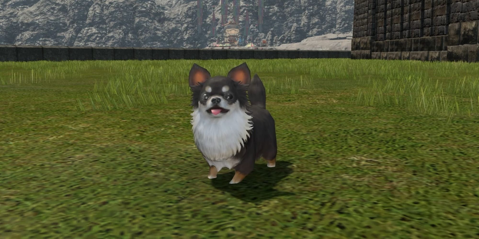 The Chewy Minion in Final Fantasy 14