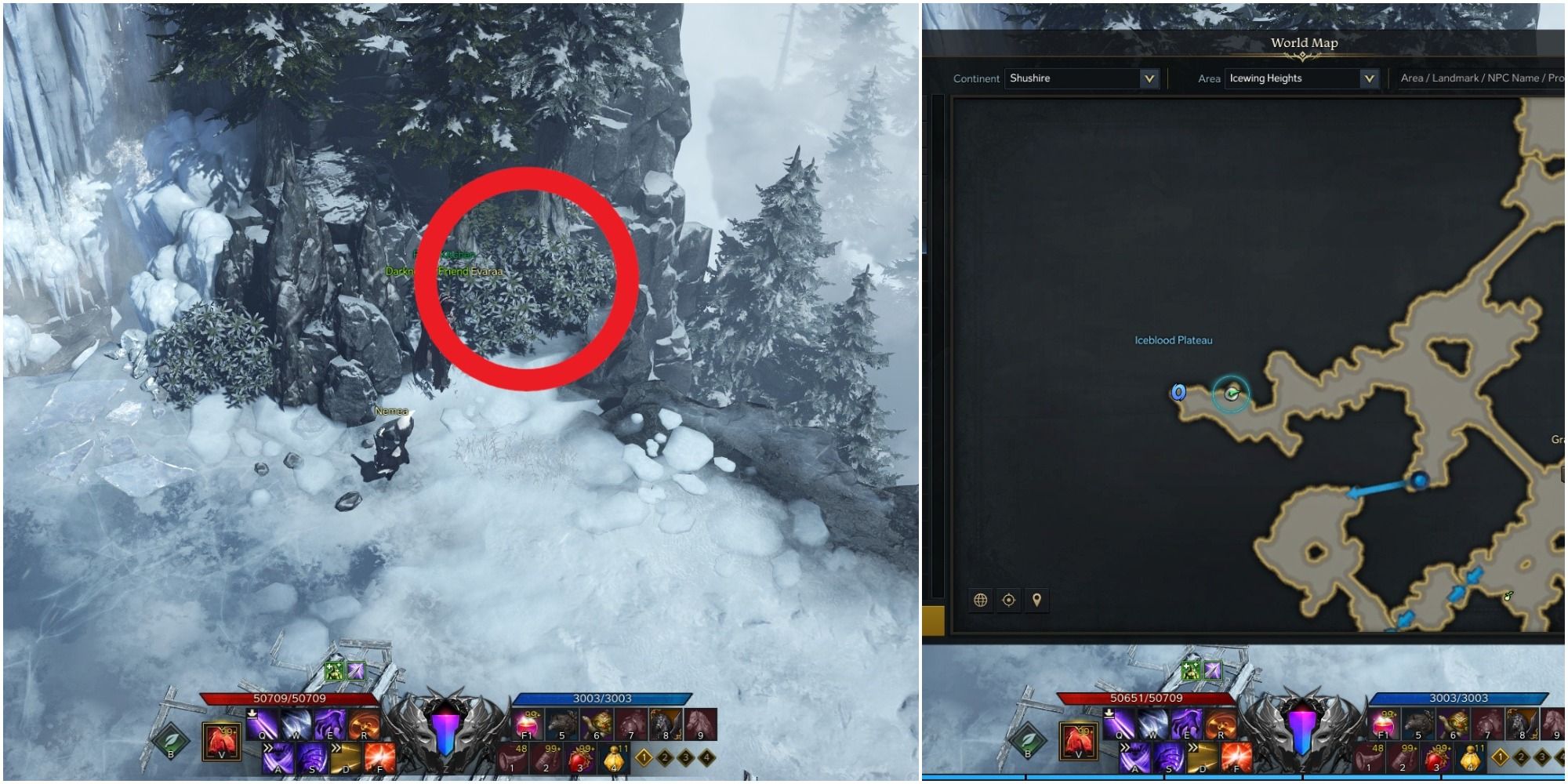 Lost Ark split image of Frozen Butterfly Larva location on the map and its location on the ground with a red circle around a bush
