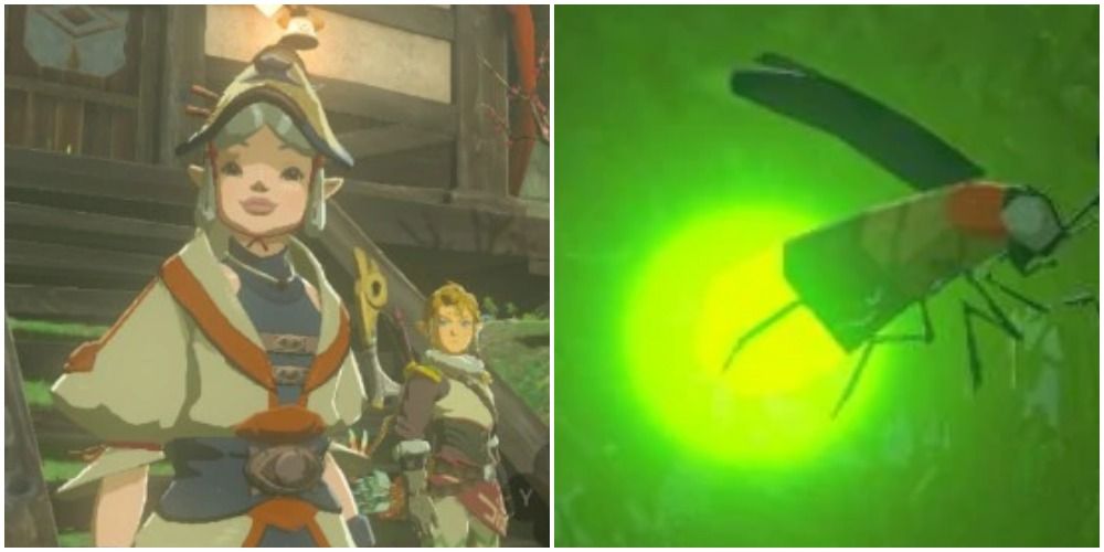 Split image screenshots of Lasli from the Legend of Zelda: Breath of the Wild and a close-up shot of a Sunset Firefly. 