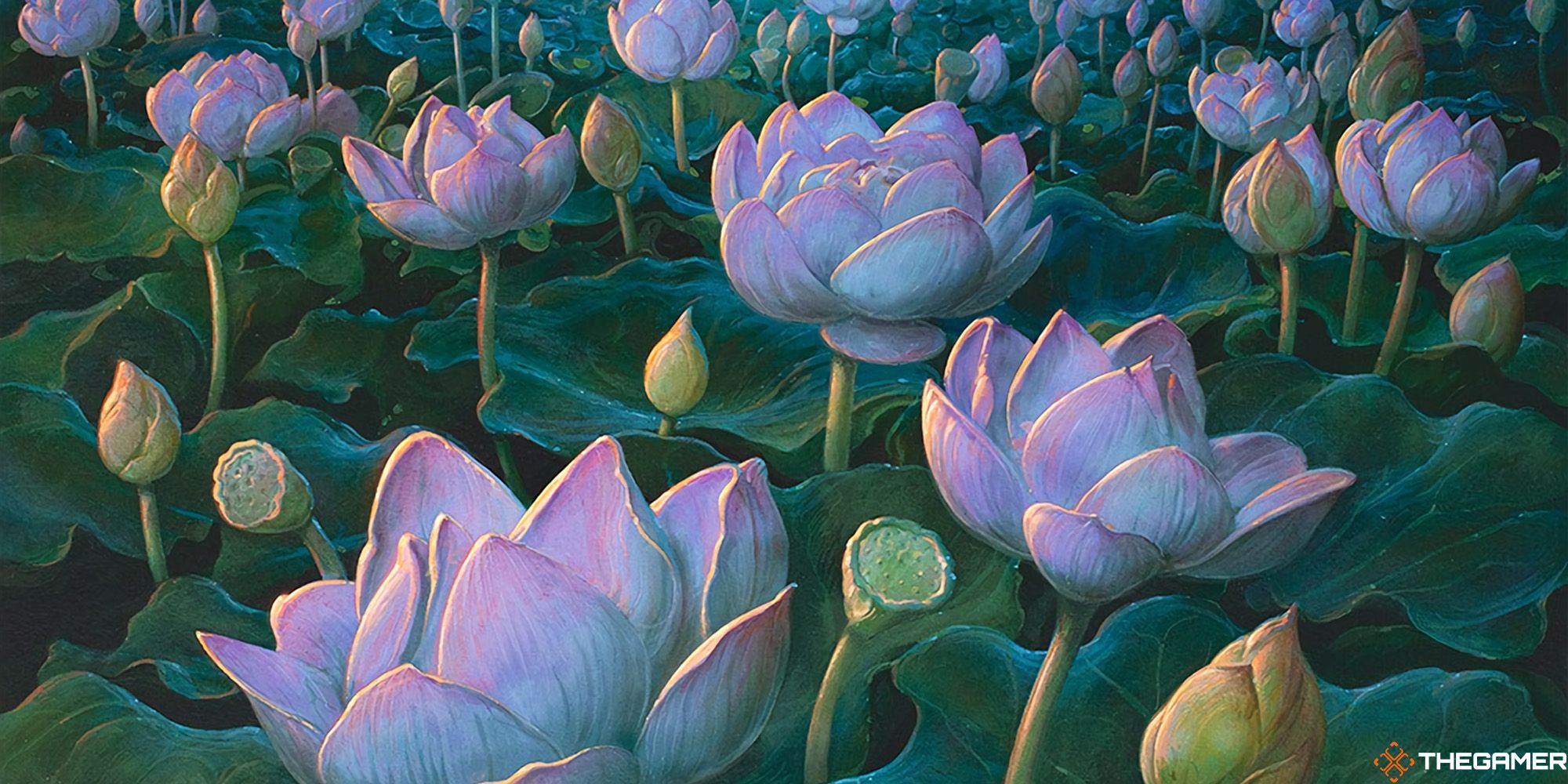 Lotus Field by John Avon