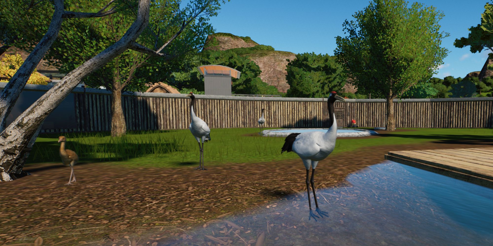 Planet Zoo Wetlands Cranes in habitat