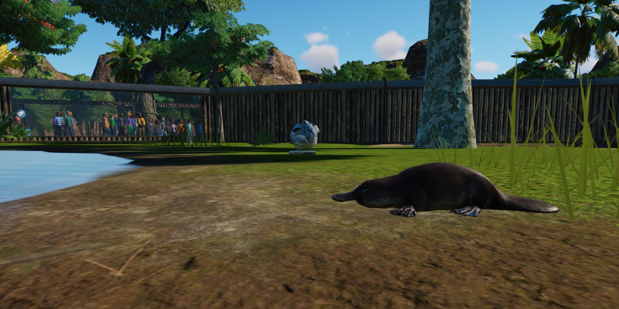 Planet Zoo Wetlands platypus lazing