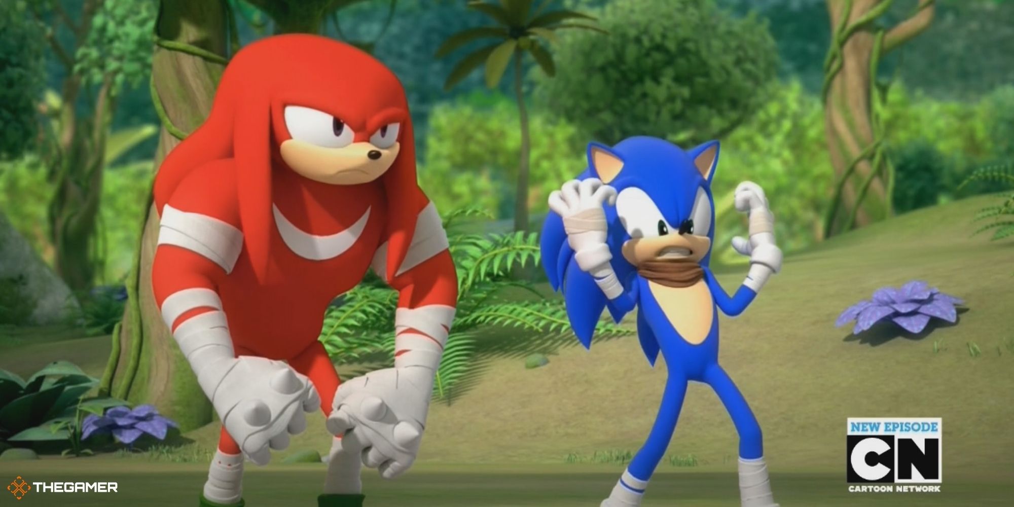 Sonic the Hedgehog - Knuckles and Sonic