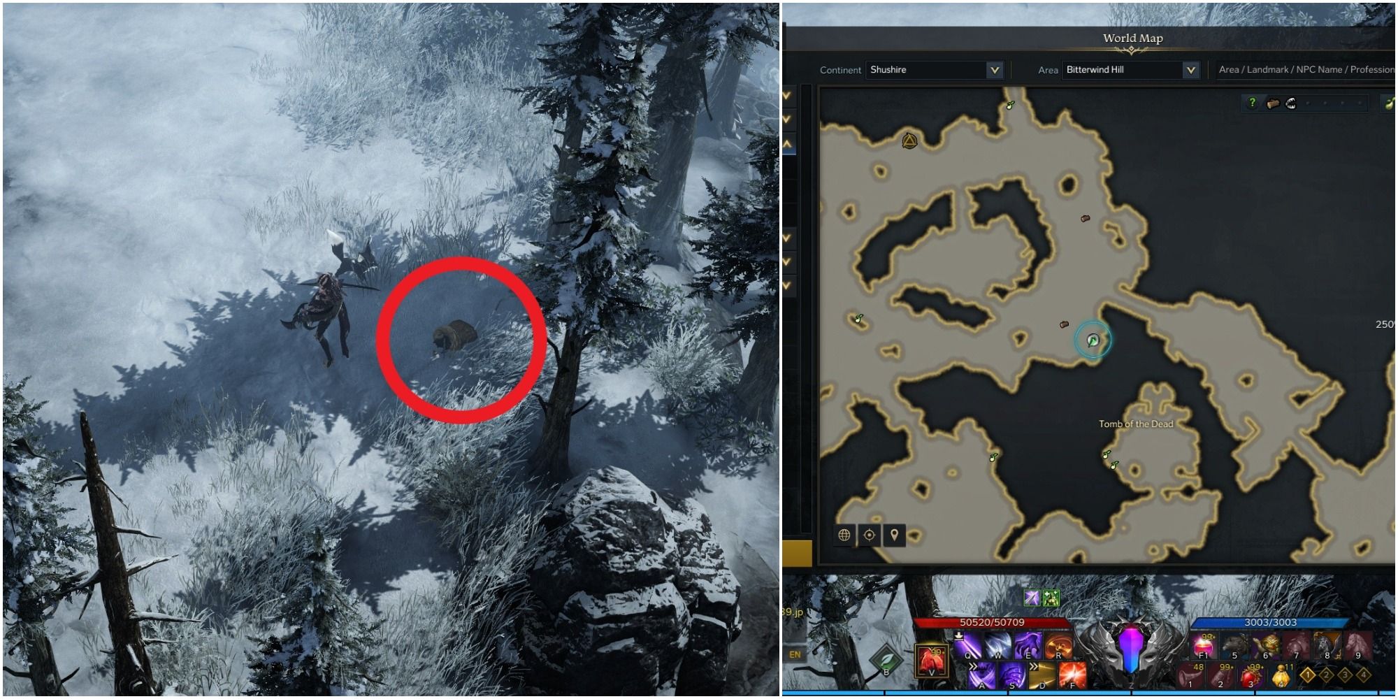 Lost Ark split image of Wolf Meat location on the map and its location on the ground with a red circle around a bag