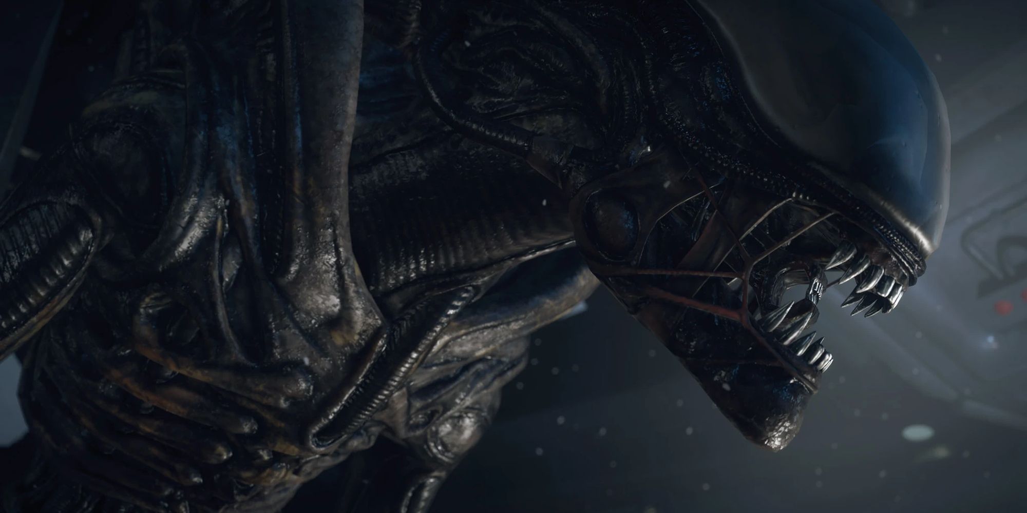 Xenomorph Close Up Profile