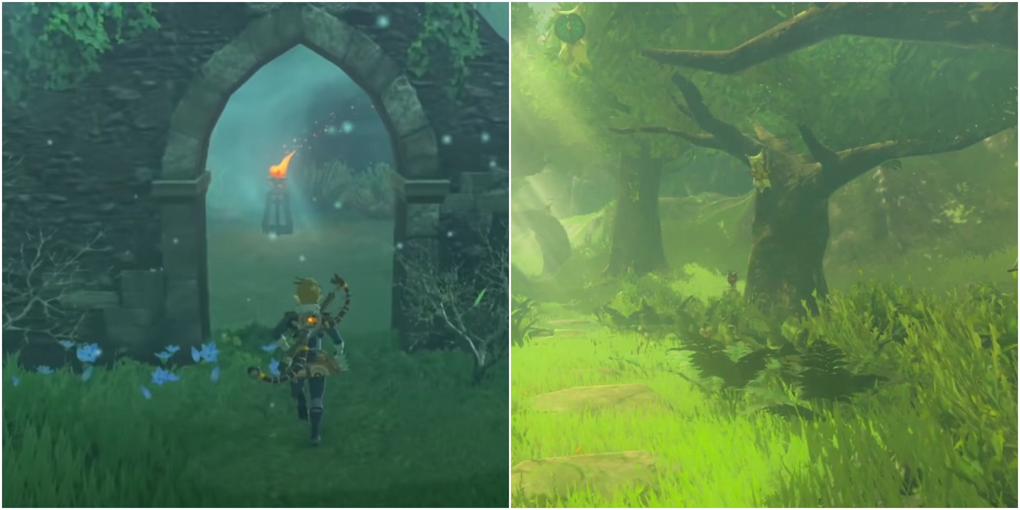 How To Reach The Korok Village And The Master Sword In Breath Of The Wild