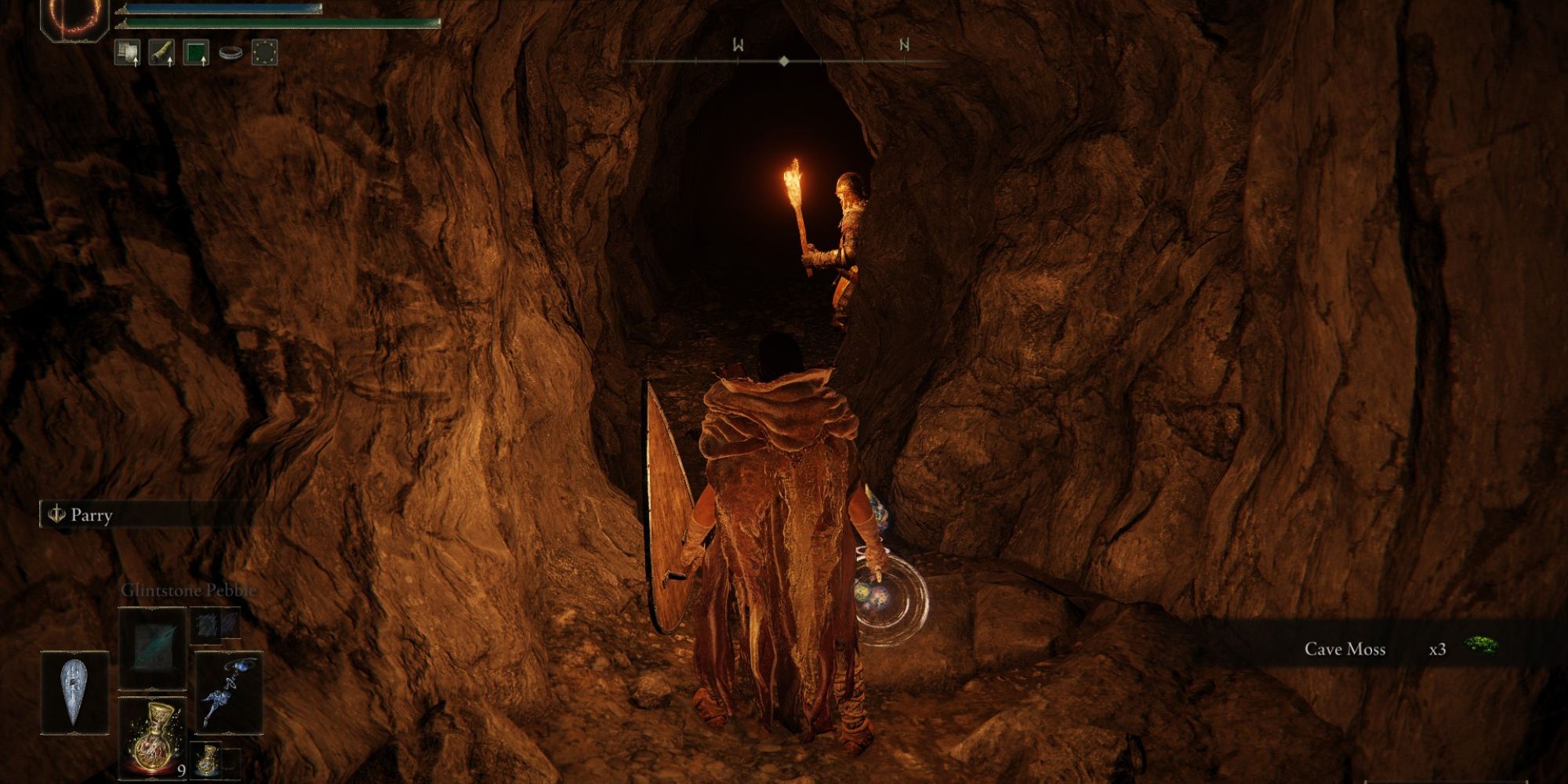 elden ring seethewater cave noble patrol