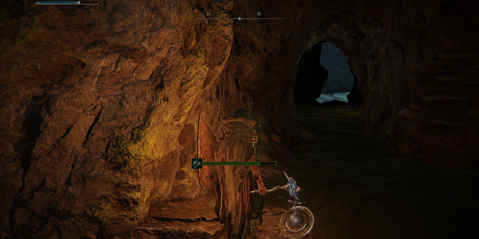 elden ring seethewater cave path