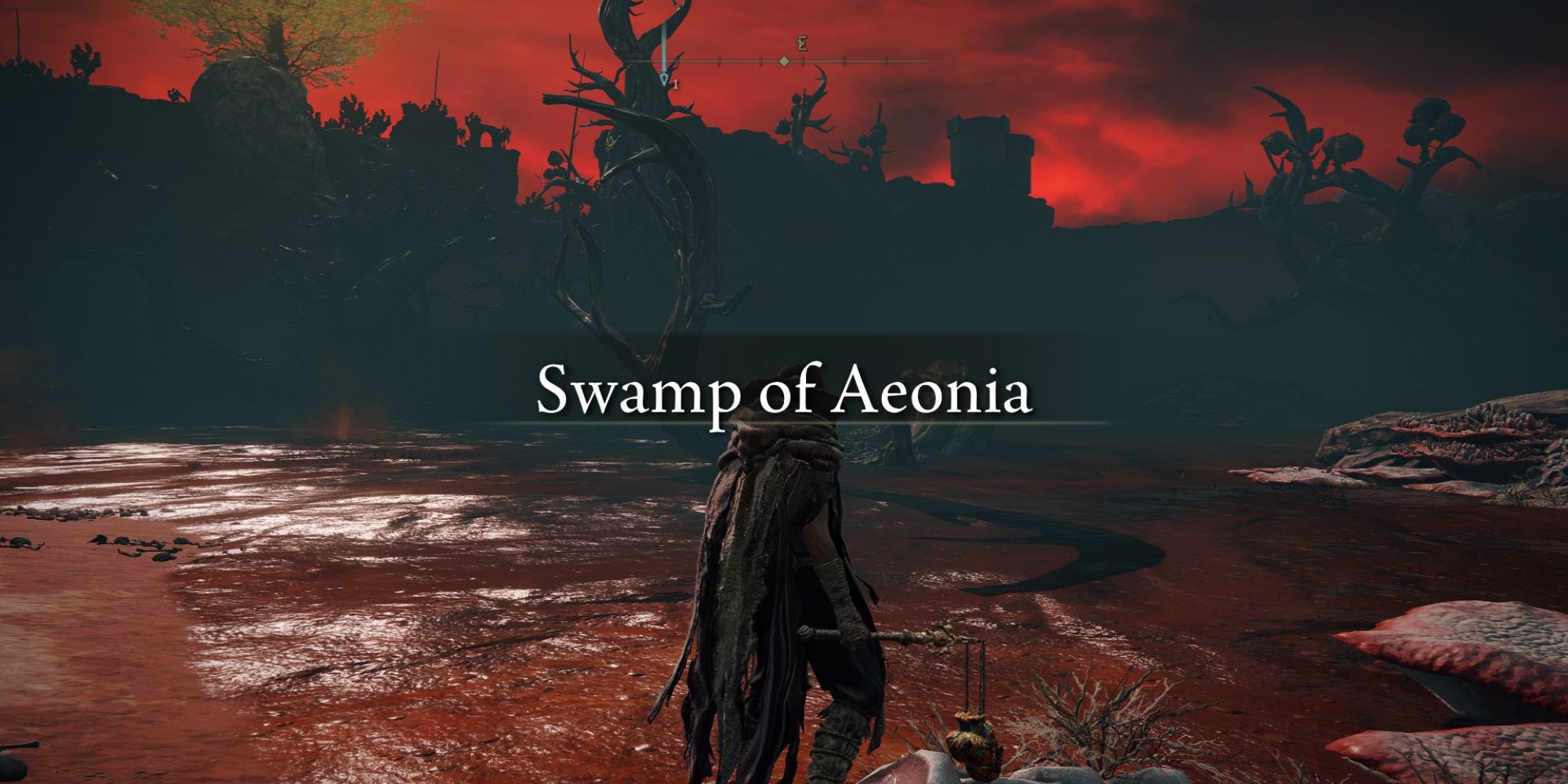 Elden ring swamp of aeonia boss