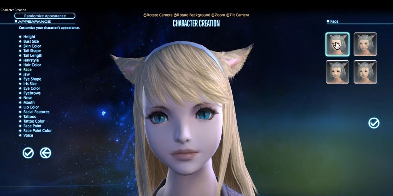 A screenshot showing the character creator in Final Fantasy 14.