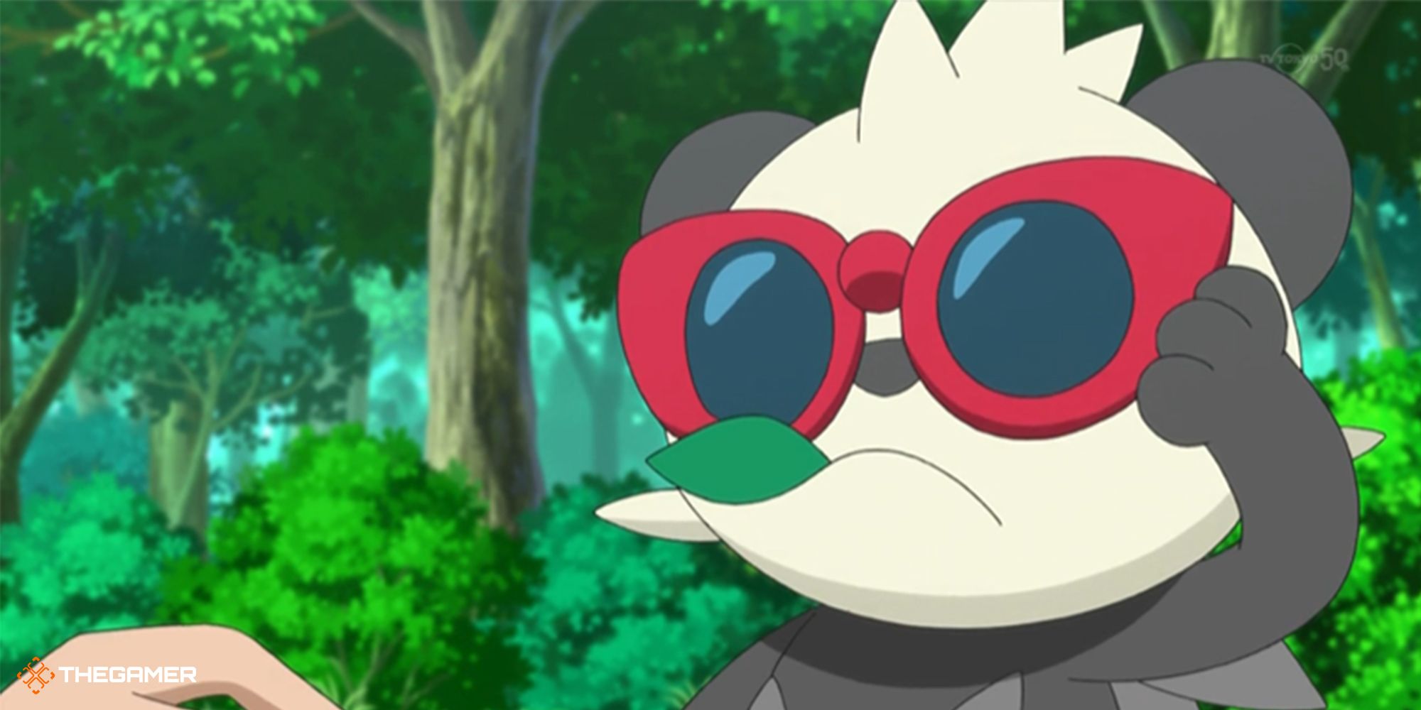 pokemon anime - pancham