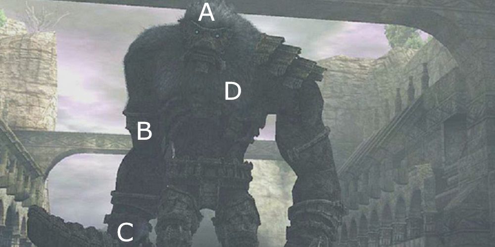 shadow of the colossus fifteenth boss weak points