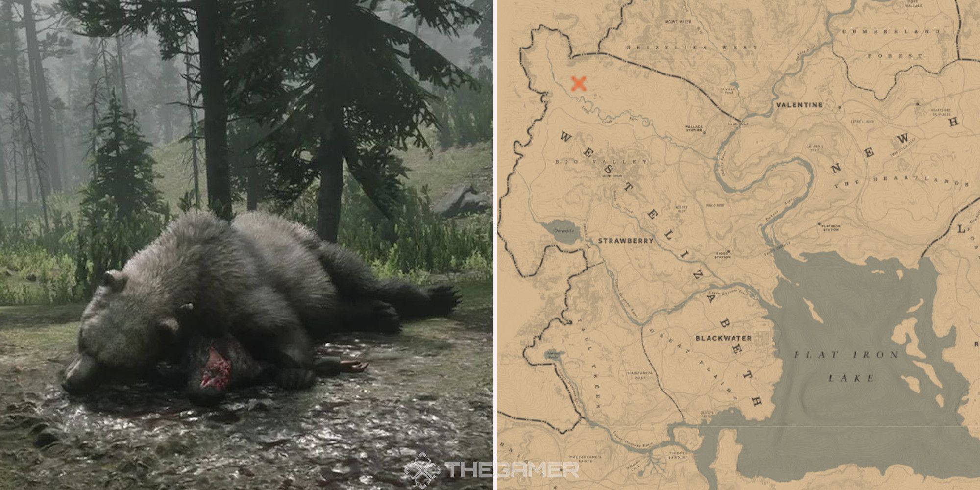 A dead bear collapsed on top of a human body in Red Dead Redemption 2, next to an image of where it can be found marked on the map.