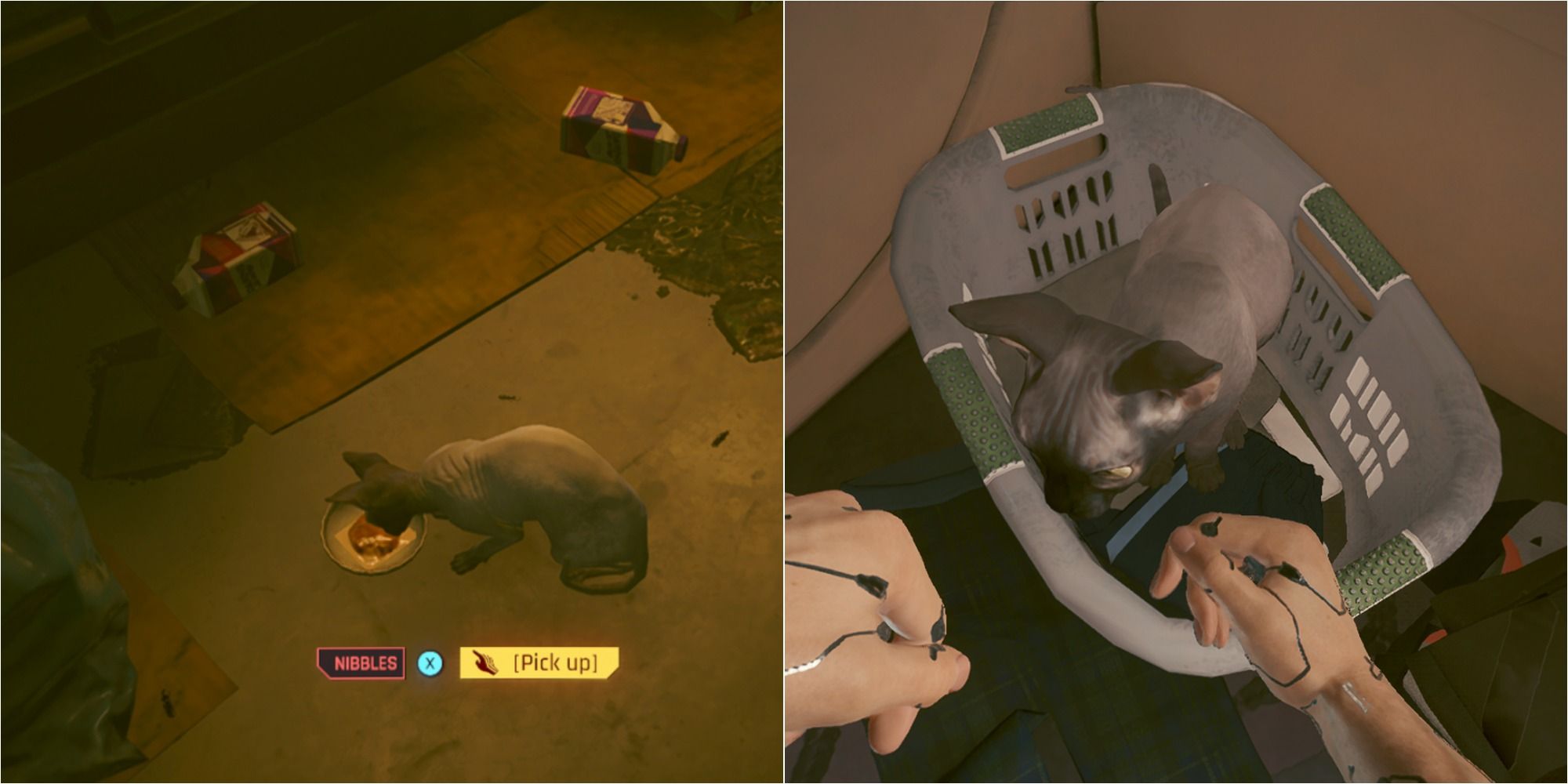 Cyberpunk 2077 Pet Cat Featured Split Image