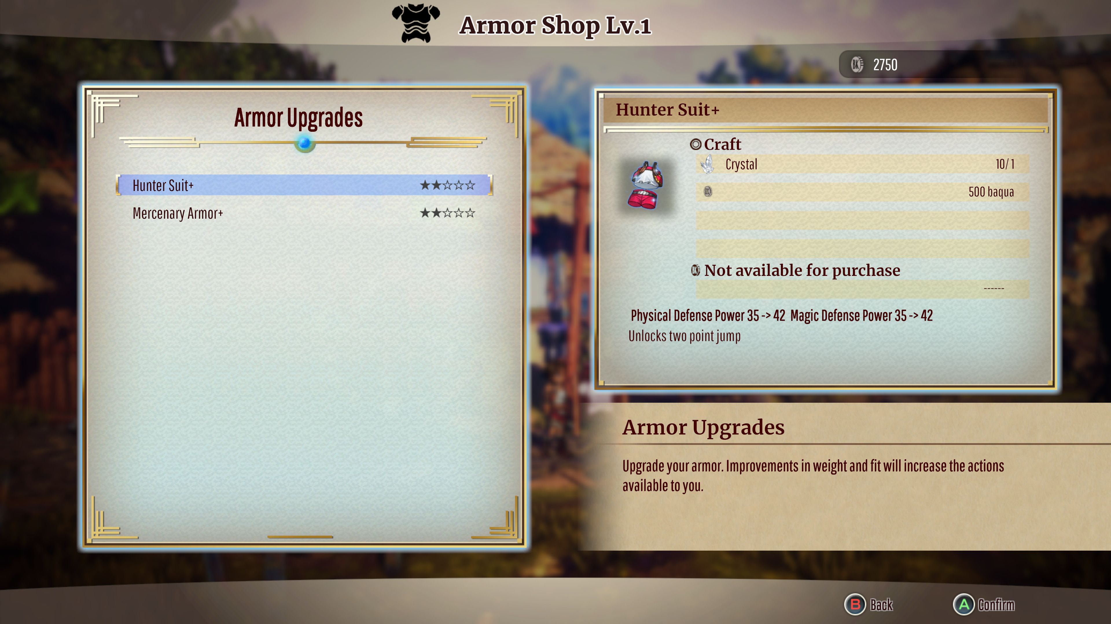 Armor Shop items screen.