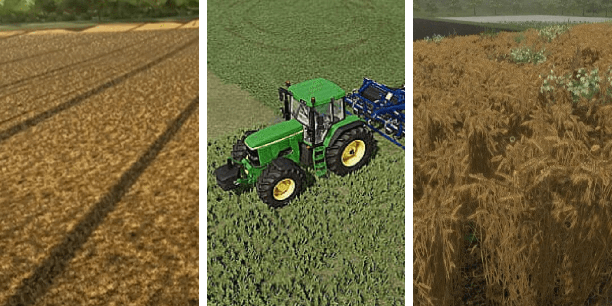 Which Crops Should I Plant First In Farming Simulator 22?