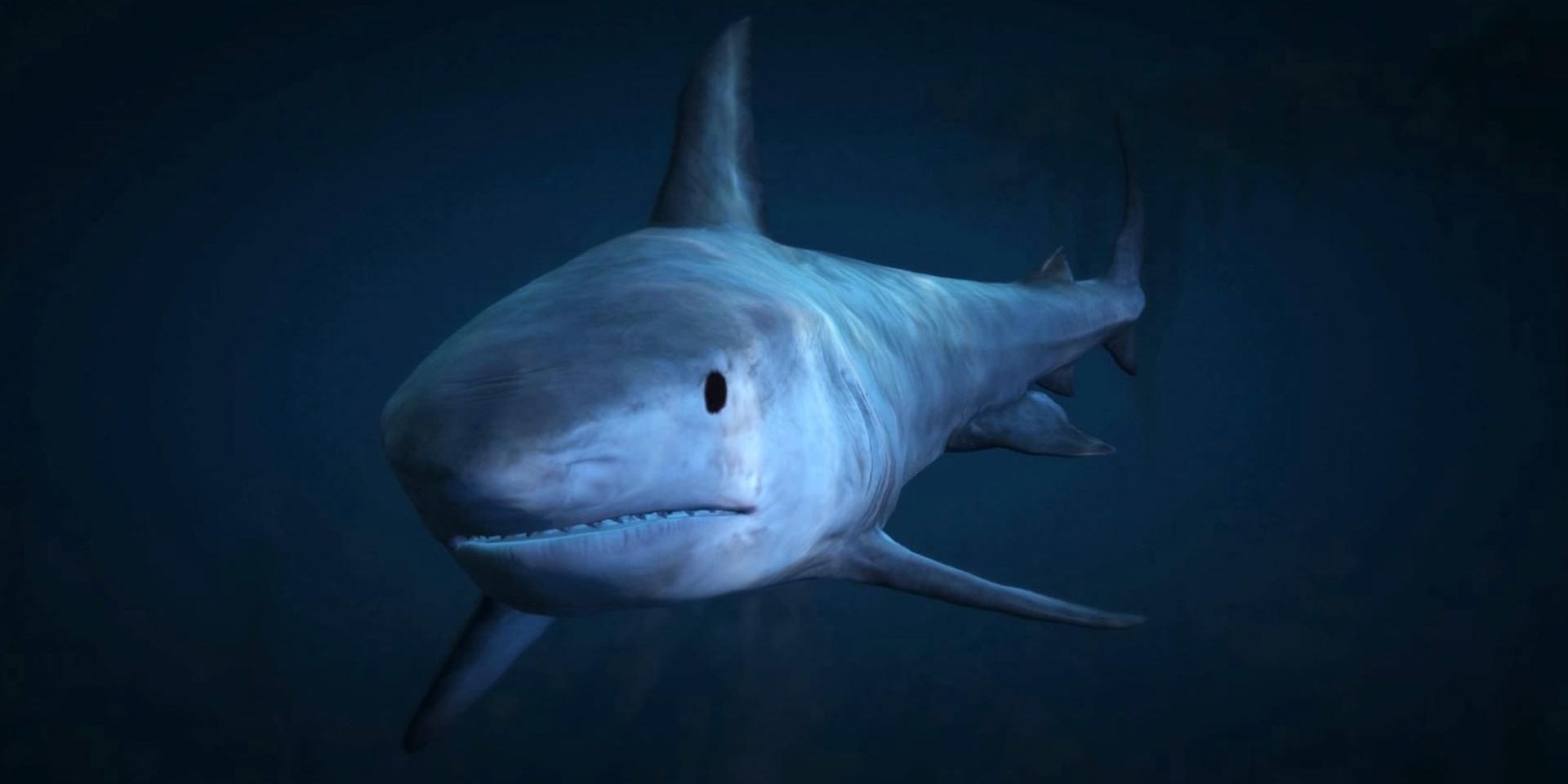 Tiger shark in GTA 5