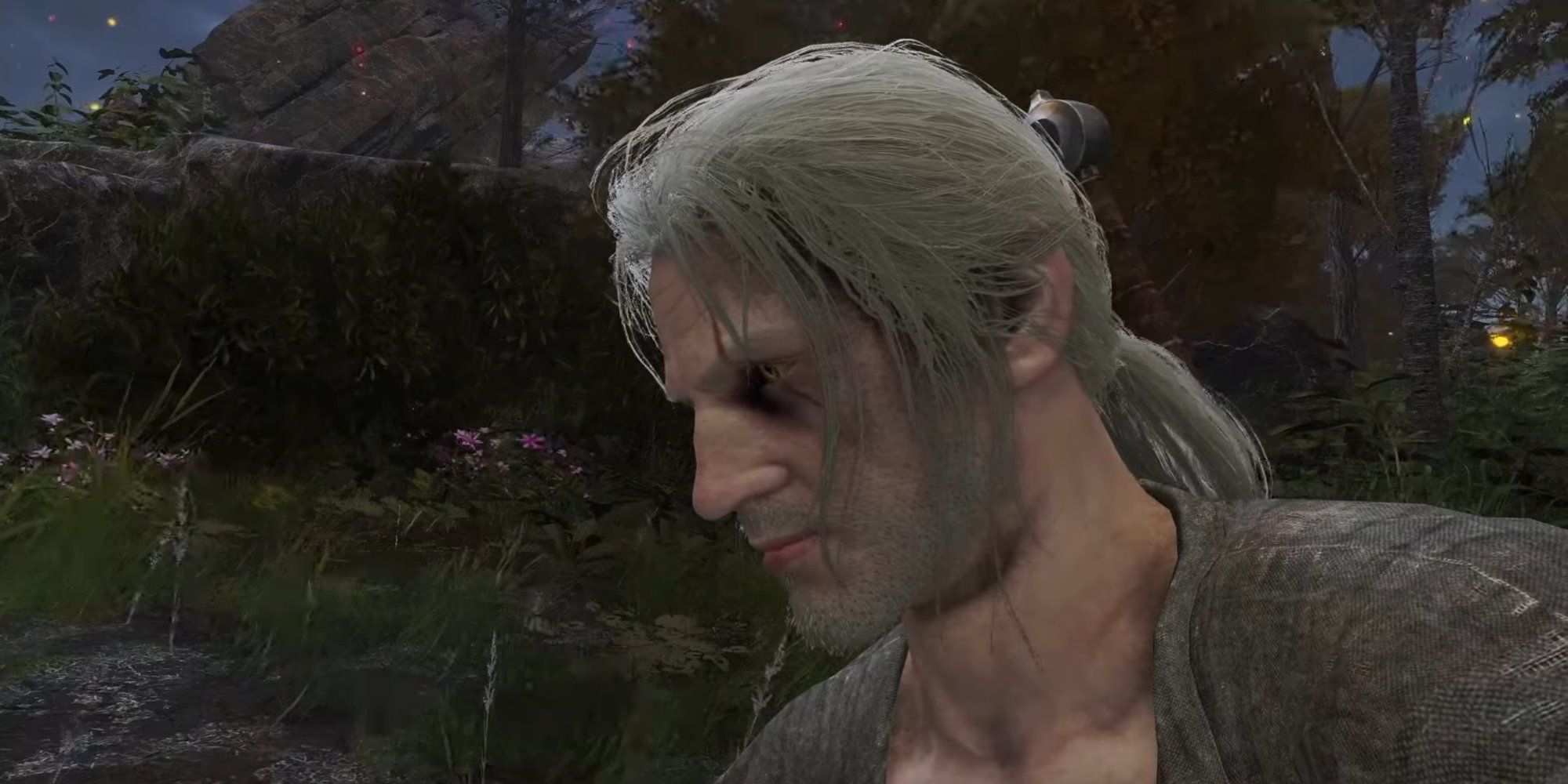 Geralt Witcher Elden Ring - via Reddit