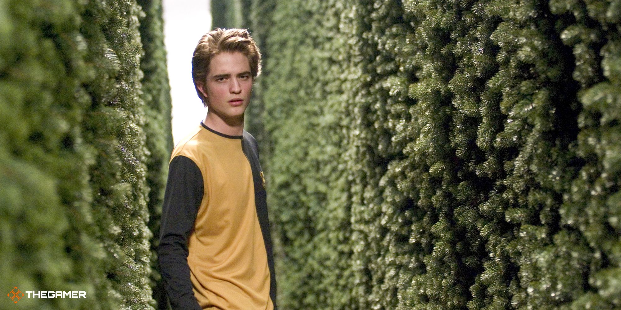 Harry Potter - Cedric Digory in the hedge maze