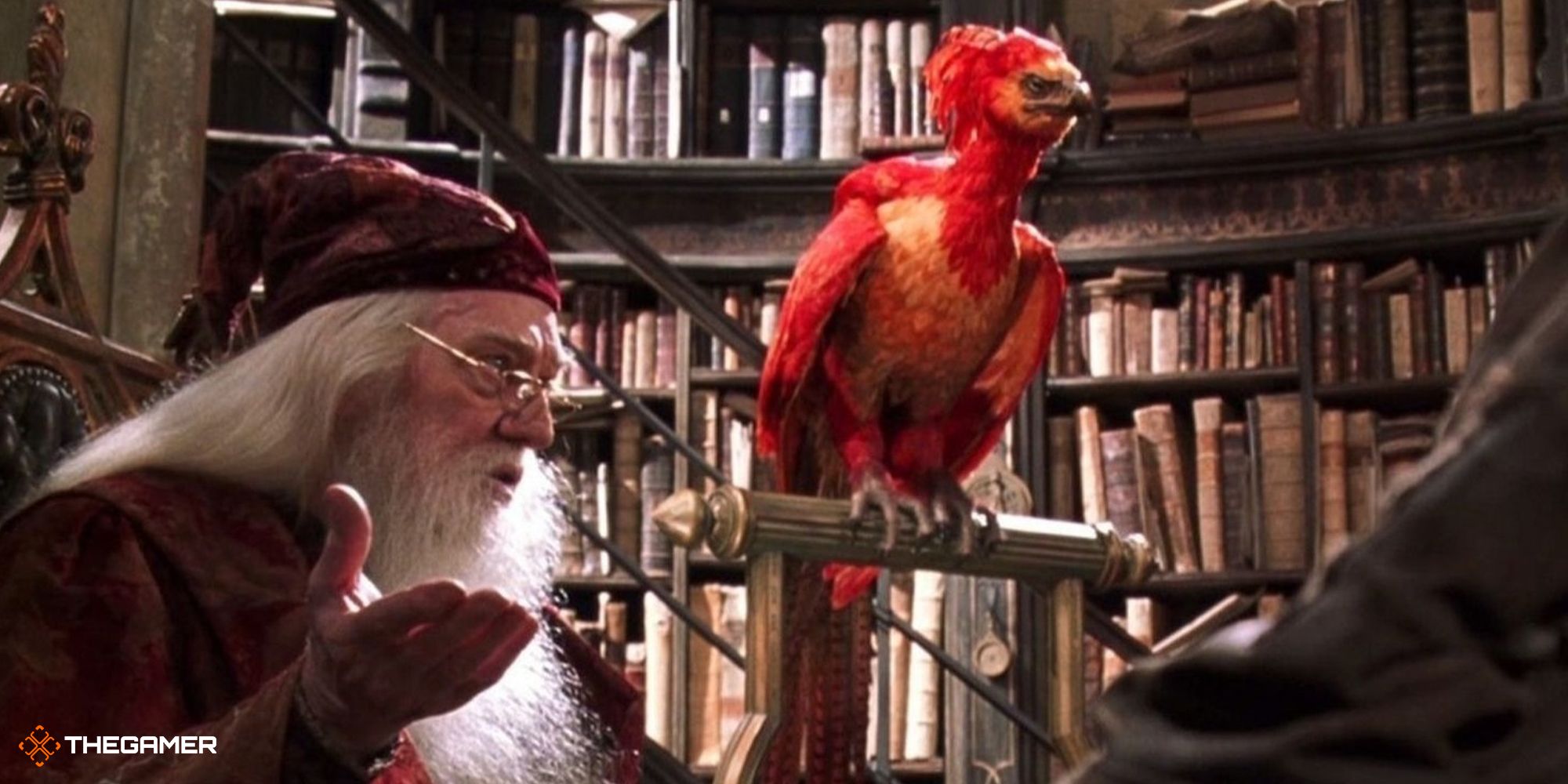 Harry Potter - Dumbledore and Fawkes