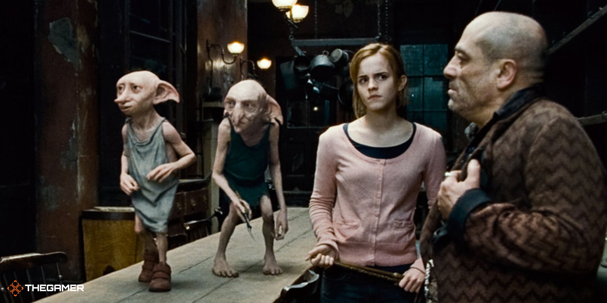 Harry Potter - Hermione and House Elves