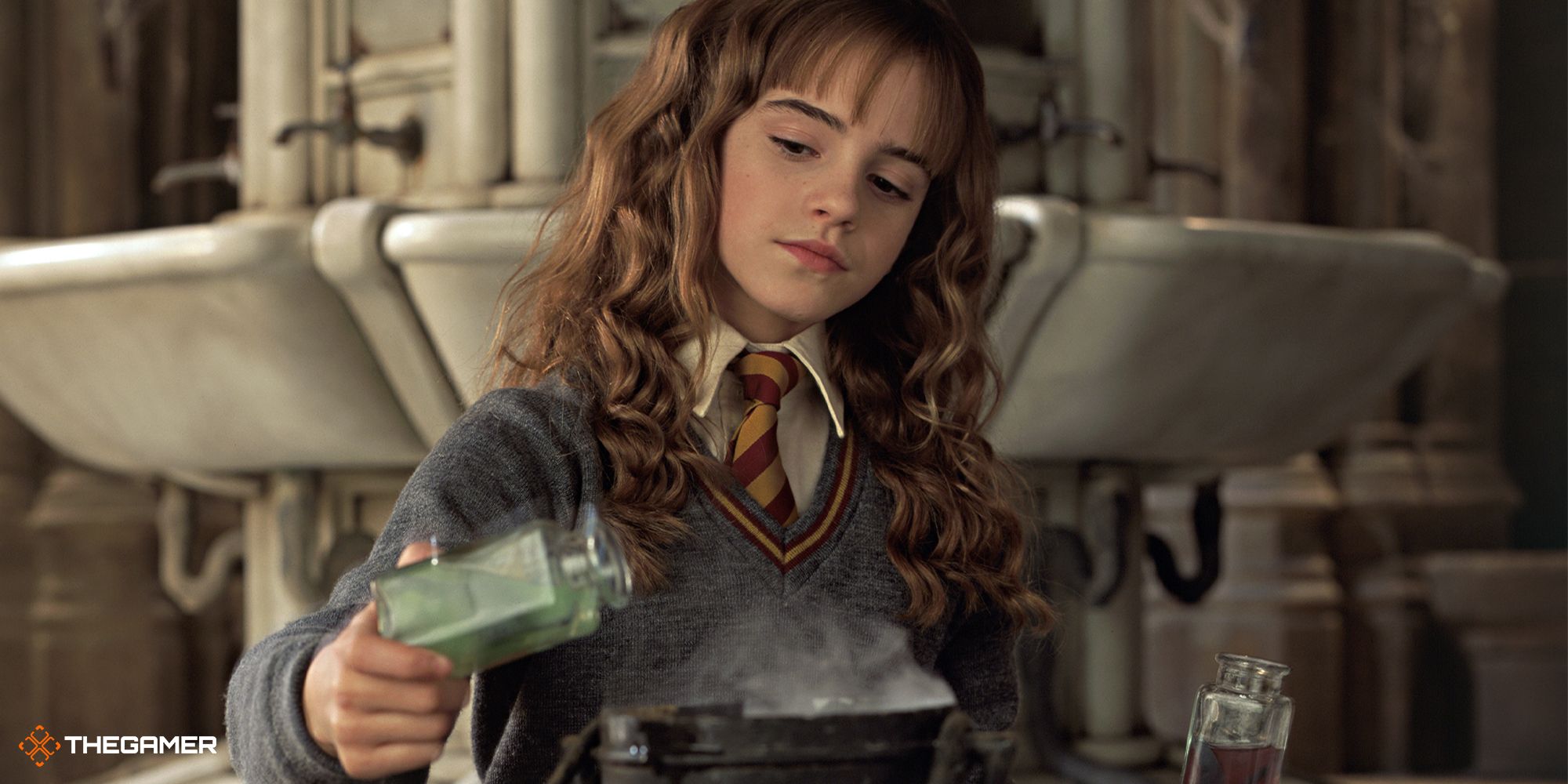 Harry Potter - hermione making the polyjuice potion