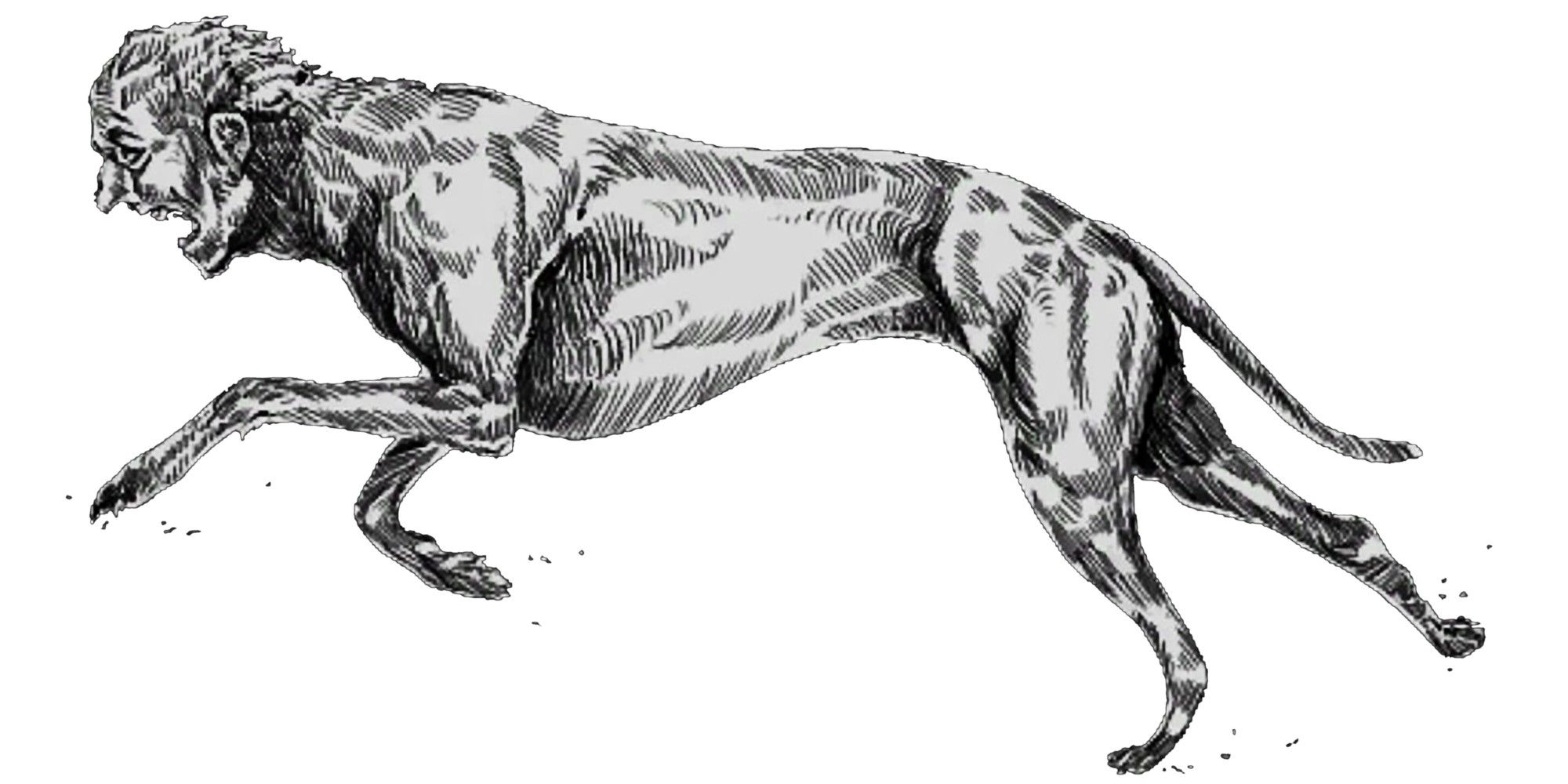 Hunt Showdown Greyhound