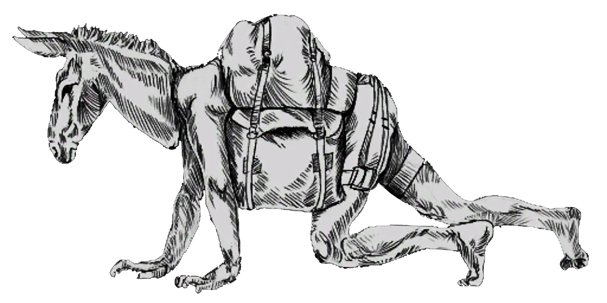 Hunt Showdown Packmule