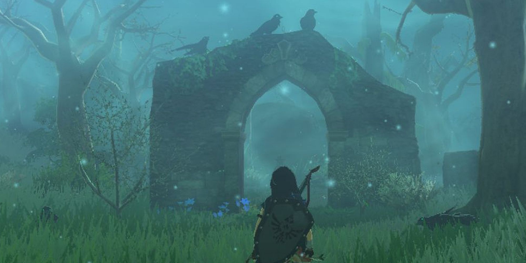 Link Enters The Lost Woods
