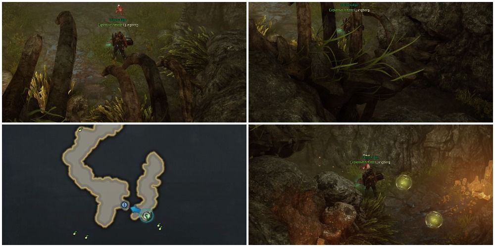  Locations of the first and second mokoko seeds in Aquiloks Tail, Lost Ark