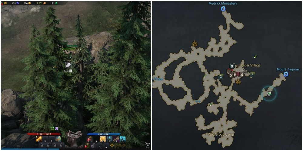 The location of the first mokoko seed in Lakebar, Lost Ark