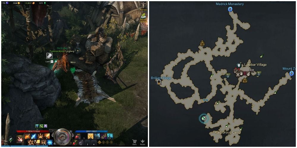 The location of the fifth mokoko seed in Lakebar, Lost Ark