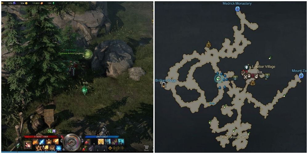 The location of the sixth mokoko seed in Lakebar, Lost Ark
