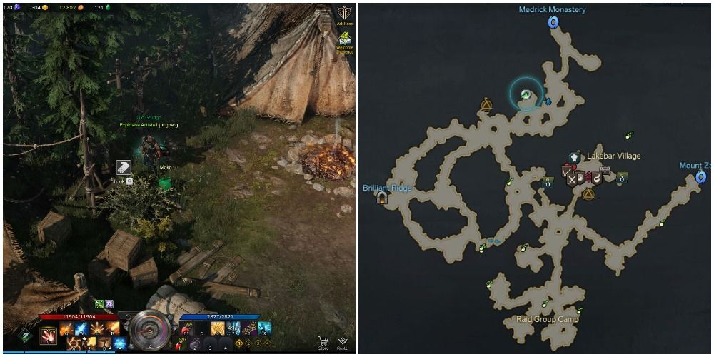 The location of the ninth mokoko seed in Lakebar, Lost Ark