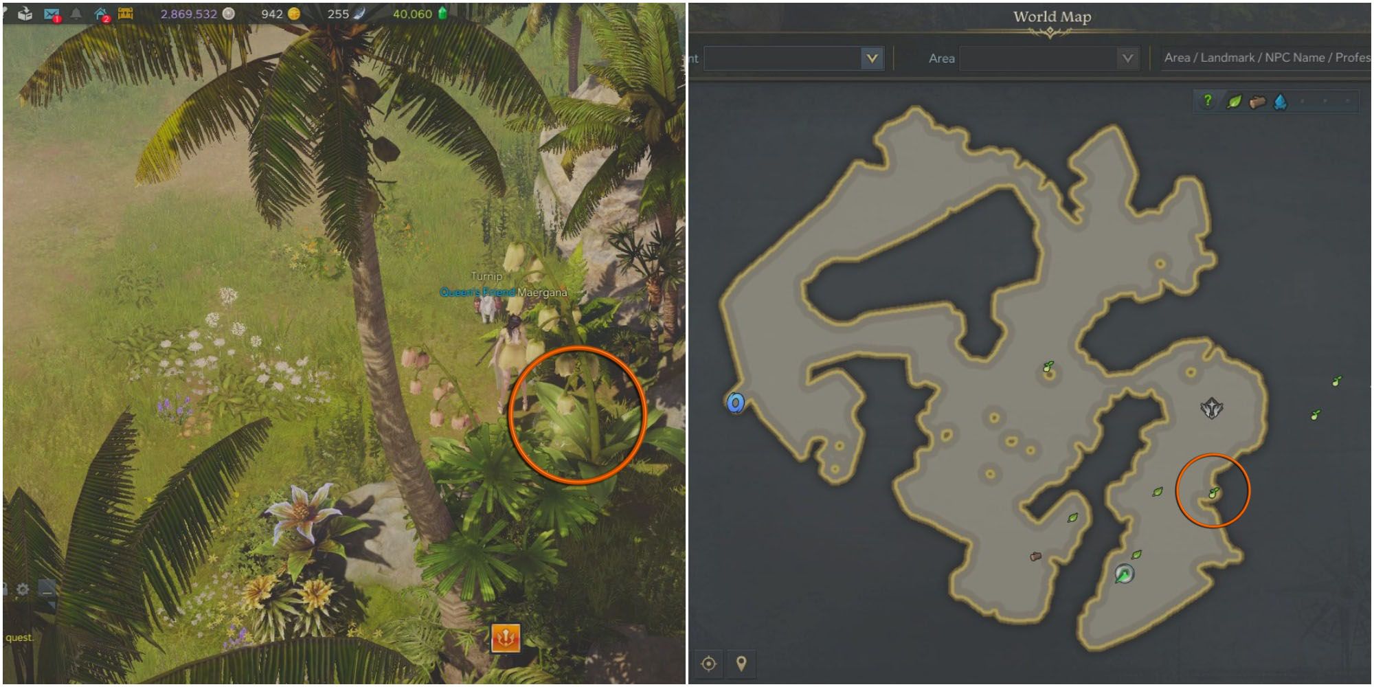 Split image of player investigating vegetation on lush island and map of Lullaby Island with location circled