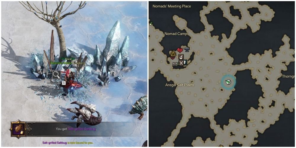 Where To Find All Yudia Cooking Recipe Ingredients In Lost Ark